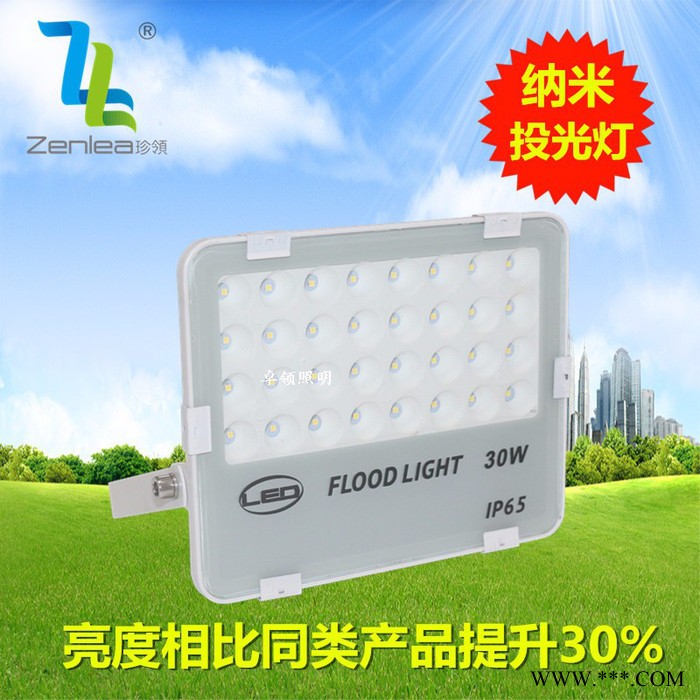 Zenlea珍领ZL-FL30-G 纳米聚光投射灯 led蜂窝煤投光灯30W  防水七彩灯 公园景观照明图3