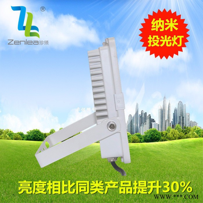 Zenlea珍领ZL-FL30-G 纳米聚光投射灯 led蜂窝煤投光灯30W  防水七彩灯 公园景观照明图4