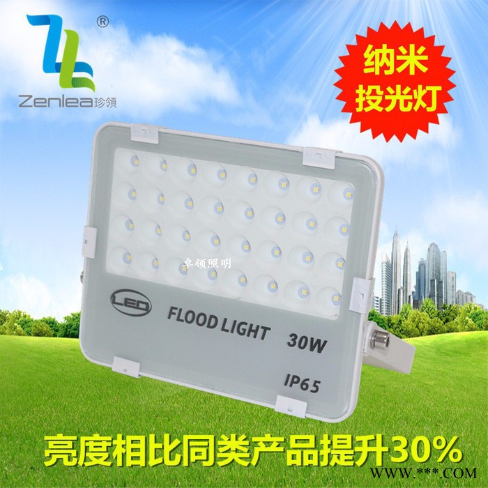 Zenlea珍领ZL-FL30-G 纳米聚光投射灯 led蜂窝煤投光灯30W  防水七彩灯 公园景观照明图2