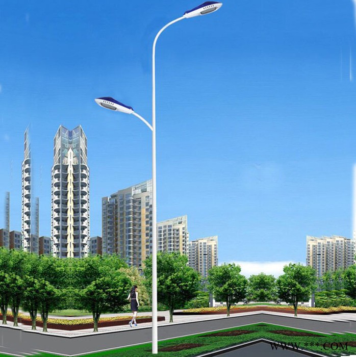 厂家供应双臂路灯道路灯 高压钠灯路灯灯具 厂区  广场照明路灯图4