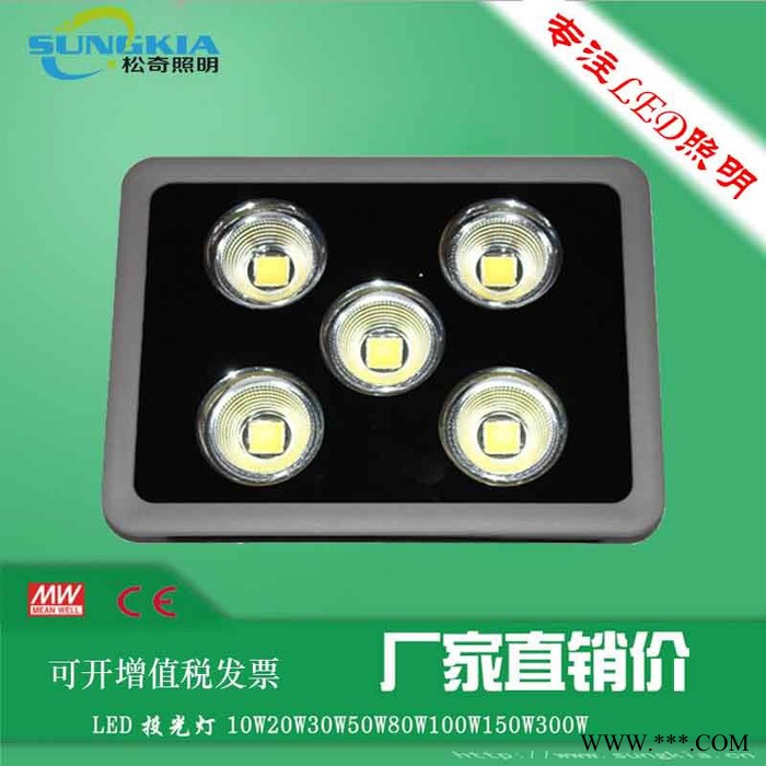SK推出特价款投光灯TG-F12-100W 球场专用灯100W/户外景观照明灯 **图4