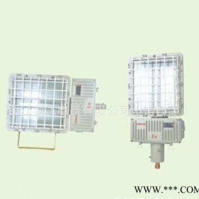 BAT53 -250W/400W防爆泛光灯（不含镇流器）