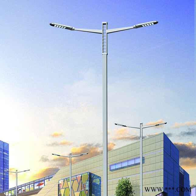 供应户外照明路灯 道路灯 市政led路灯 城市主杆道乡村道路灯 道路灯批发定制 双头双臂led道路灯图8