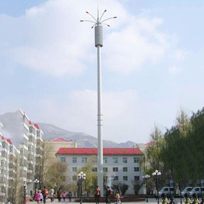 高灯杆 投光灯塔 灯杆塔 灯杆信号塔 升降式照明灯塔 道路灯塔 钢结构灯塔 彩钢灯塔 避雷针投光灯塔 照明塔 **价廉图4