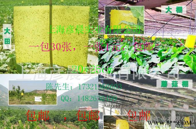 上海彦晨灭蚊灯管_粘虫带_粘虫板_粘虫纸图2