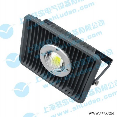 led灯具上海鹭岛集成投光灯(**)LED投光灯