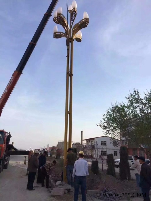 大妙光 供应专业打造双光源双臂道路灯 12米仿古路灯 400W钠灯 15米高杆路灯图5
