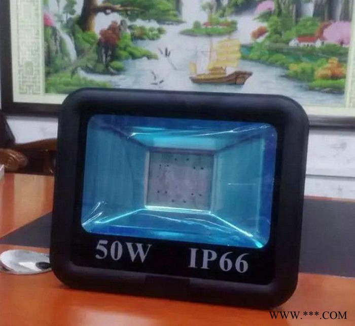 促销 50W户外led投光灯10W至400W大功率投射灯 广告照明灯泛光灯图2