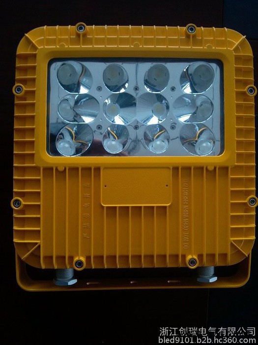 天津直销BLED9102系列免维护25W,40W、60W、80W （LED)防爆泛光灯CR8005防爆投光灯图5