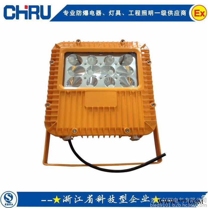 天津直销BLED9102系列免维护25W,40W、60W、80W （LED)防爆泛光灯CR8005防爆投光灯图1