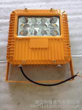 天津直销BLED9102系列免维护25W,40W、60W、80W （LED)防爆泛光灯CR8005防爆投光灯图2
