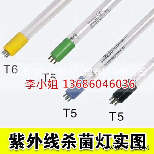 湖南区代理销售美国wonder无臭氧杀菌灯管低臭氧杀菌灯EB-15/UB-15  GPH846T5L/65W 杀菌灯图2