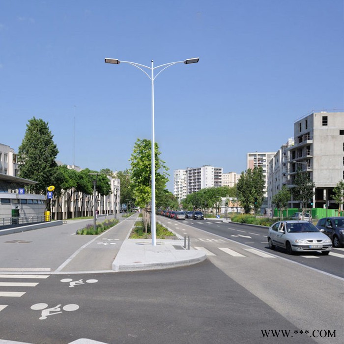 厂家定制市政路灯8米10米平行双臂LED道路灯图3