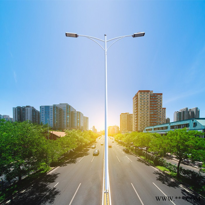 厂家定制市政路灯8米10米平行双臂LED道路灯图4