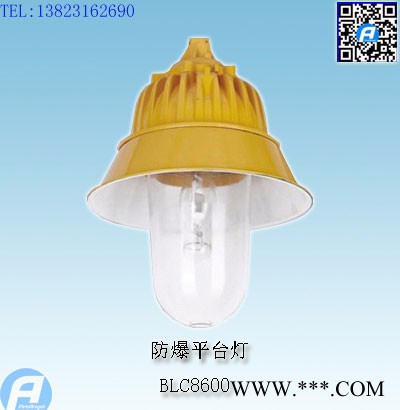 BLC8610防爆道路灯图3