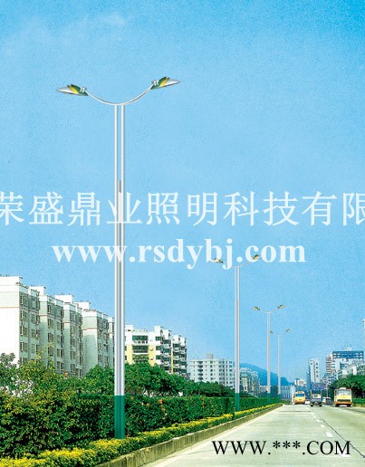 供应荣鼎照明各种款式新颖道路灯道路灯照明图3
