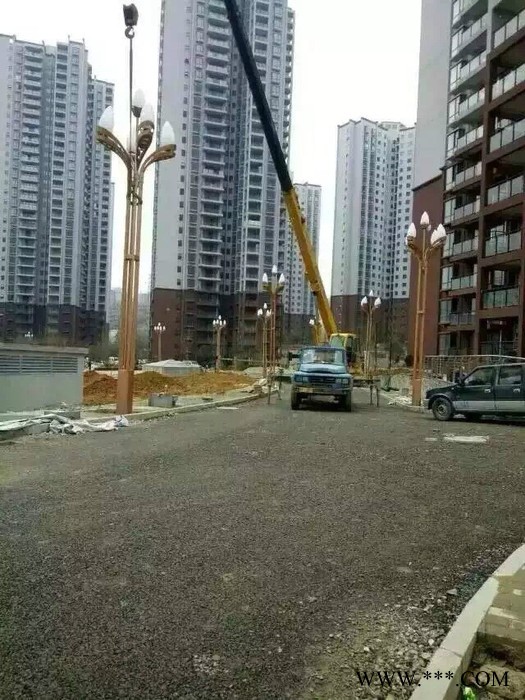 大妙光 供应12米双臂道路灯 高低臂路灯杆 信号灯杆件 15米中杆 led路灯灯杆图7