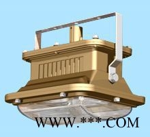 生产供应防爆灯QHF6101-YQL50免维护节能防水防尘防腐泛光灯图3