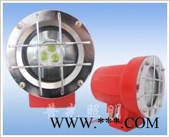 普光LED防爆泛光灯防爆灯具/工业照明用防爆灯/LED防爆防尘灯/加油站专用照明灯图3