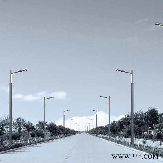 腾飞照明YSA-3195 路灯景观灯  智慧路灯智慧路灯厂家  庭院灯 道路灯 LED路灯 路灯厂家图2
