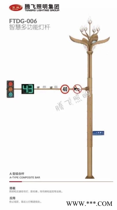 腾飞照明YSA-3195 路灯景观灯  智慧路灯智慧路灯厂家  庭院灯 道路灯 LED路灯 路灯厂家图3