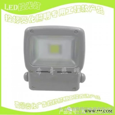 LED投光灯 企鹅投光灯10W