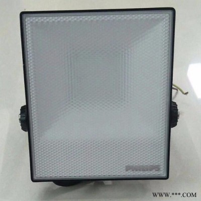 PHILIPS/飞利浦LED投光灯20W 10W 30W 50W70W BVP13X系列惠州