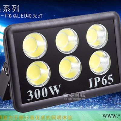 岭南极光SA-T LED投光灯高亮度篮球场灯led