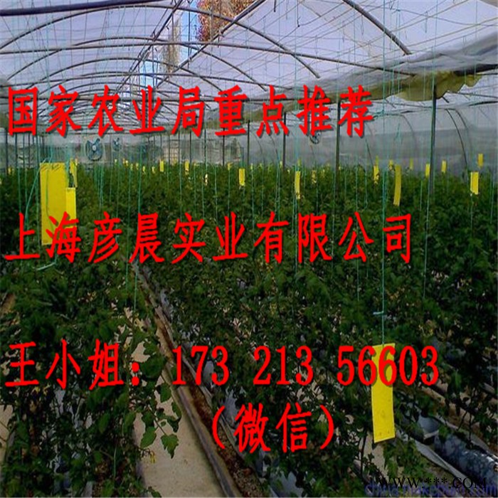彦晨实业专业生产 灭蚊灯管_粘虫带_粘虫板_粘虫纸图4
