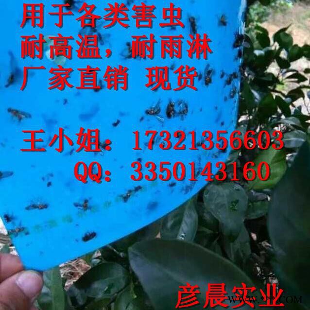 彦晨实业专业生产 灭蚊灯管_粘虫带_粘虫板_粘虫纸图3