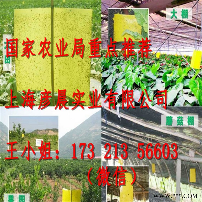 彦晨实业专业生产 灭蚊灯管_粘虫带_粘虫板_粘虫纸图8