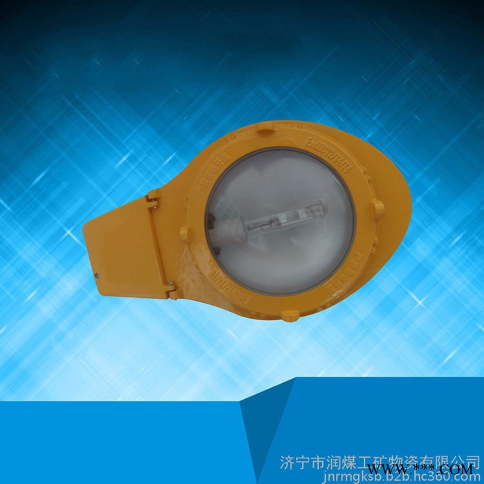 ZAD935JY-250(400)/220防爆道路灯   防爆道路灯规格图4