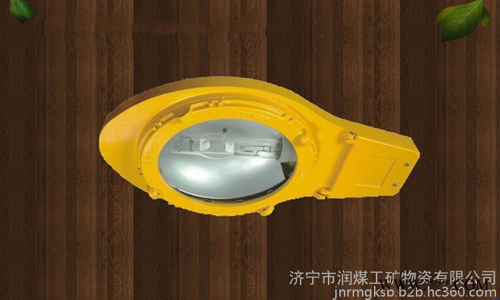 ZAD935JY-250(400)/220防爆道路灯   防爆道路灯规格图8