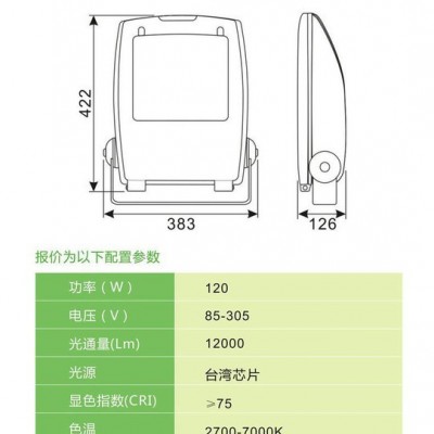 户外LED投光灯80W100W120W聚光防水科瑞芯片明纬电源驱动