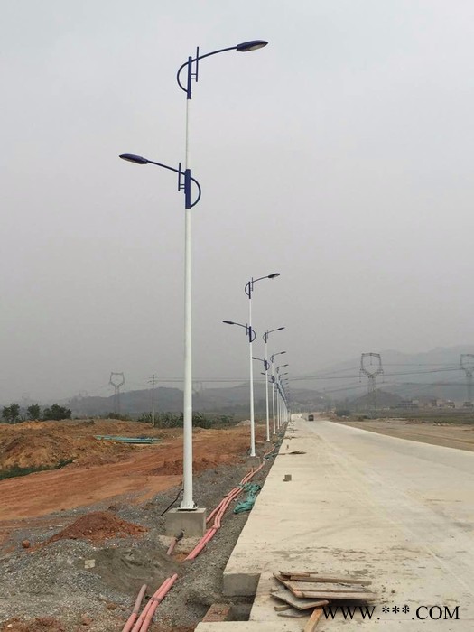 璀璨厂家各种路灯广场路灯 LED道路灯 太职能路灯图2