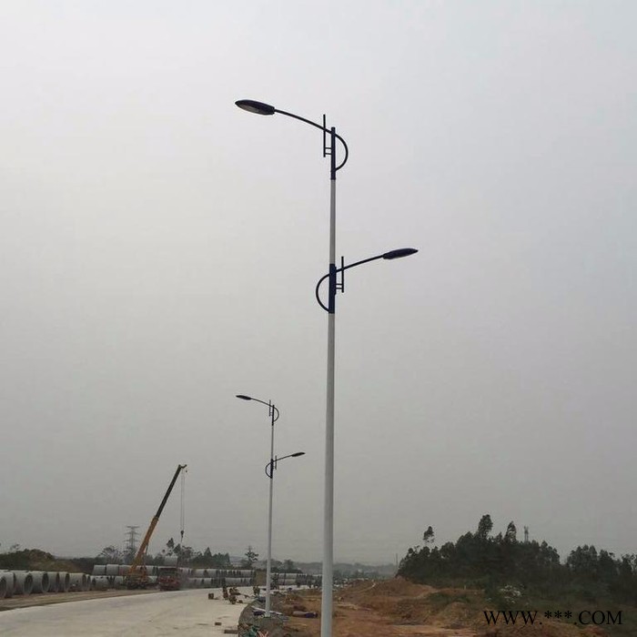 璀璨厂家各种路灯广场路灯 LED道路灯 太职能路灯图5