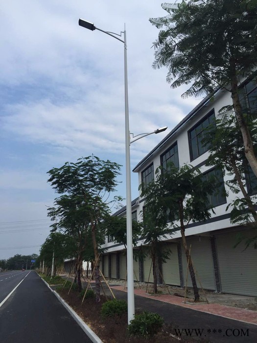 璀璨厂家各种路灯广场路灯 LED道路灯 太职能路灯图3