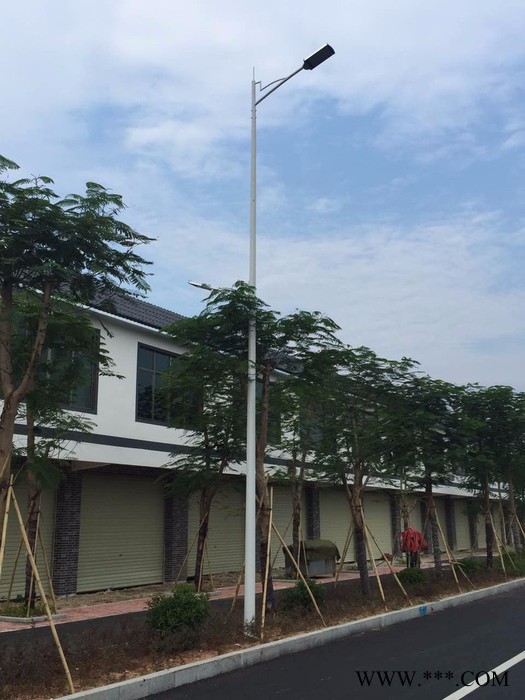 璀璨厂家各种路灯广场路灯 LED道路灯 太职能路灯图6