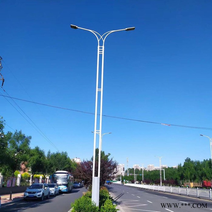供应路灯杆 LED市电路灯杆 双臂道路灯 道路灯杆 10米12米挑臂路灯灯杆 可来图来样加工图5