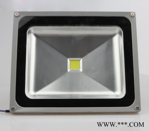 厂家批发 LED投光灯10W30W50W100W200W灯具广场户外广告照明射灯 防水外壳图2