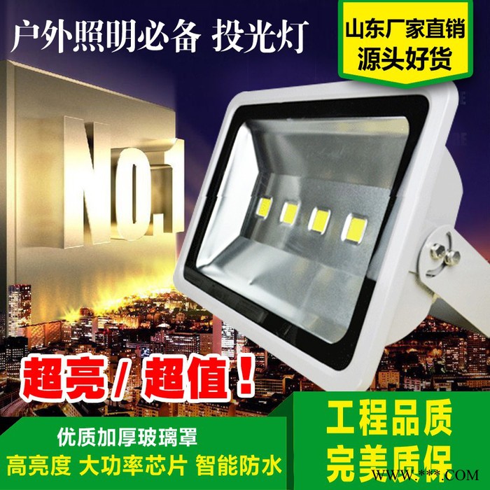 厂家批发 LED投光灯10W30W50W100W200W灯具广场户外广告照明射灯 防水外壳