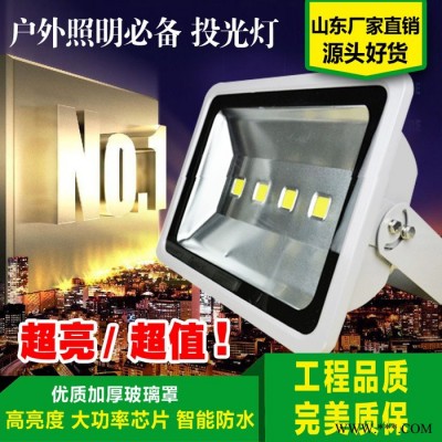 厂家批发 LED投光灯10W30W50W100W200W灯具广场户外广告照明射灯 防水外壳