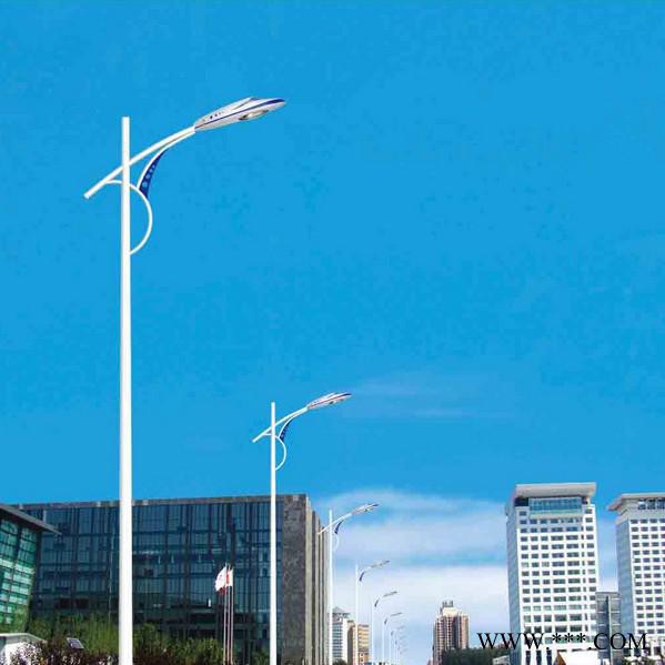 销售LED路灯 LED灯具 单双臂路灯 LED城市照明路灯 LED市电路灯 市政路灯 led道路灯 厂家直供 多款型可选