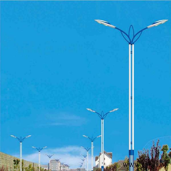 销售LED路灯 LED灯具 单双臂路灯 LED城市照明路灯 LED市电路灯 市政路灯 led道路灯 厂家直供 多款型可选图2