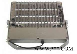 PHILIPS/飞利浦BVP163/220w LED投光灯图3