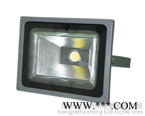 普仕亮hjg-04-30瓦金钻系列 LED投光灯 LED工厂灯 LED工矿灯  厂家供应图2