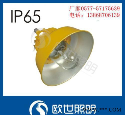 BLC8600/防爆道路灯/油田防爆路灯 防爆道路灯，路灯价