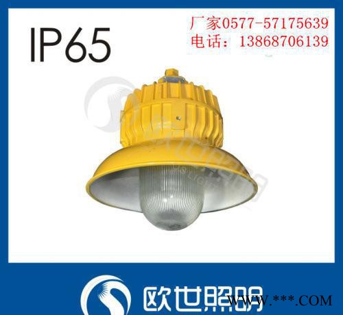 BLC8600/防爆道路灯/油田防爆路灯 防爆道路灯，路灯价图2