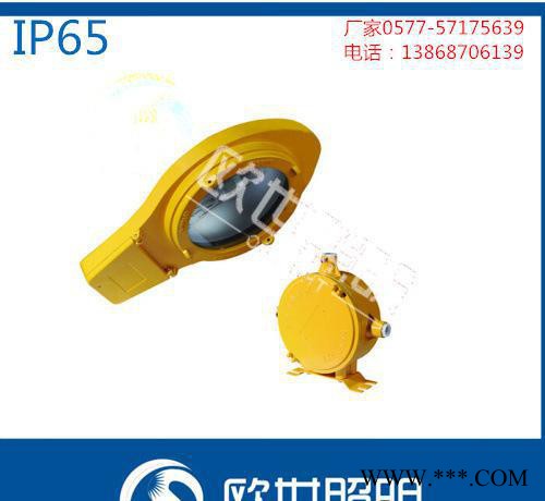 BLC8600/防爆道路灯/油田防爆路灯 防爆道路灯，路灯价图3