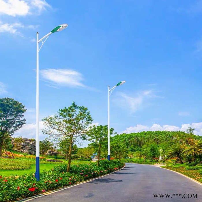 普米瑞TYN-008 市电路灯6米A字臂道路灯户外大功率路灯图3